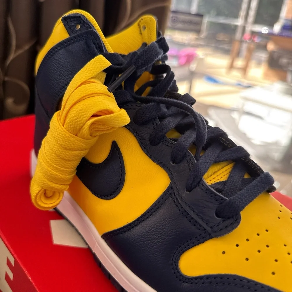 Nike Men's Dunk High‎ Retro SE Michigan Brand New